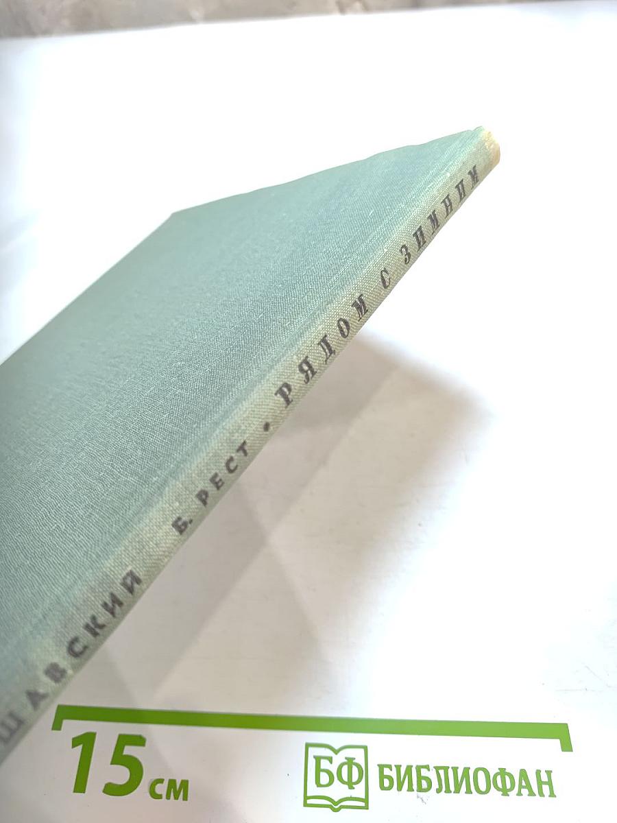 Рядом с Зимним (Очерки истории Октября)