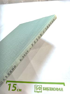 Рядом с Зимним (Очерки истории Октября)