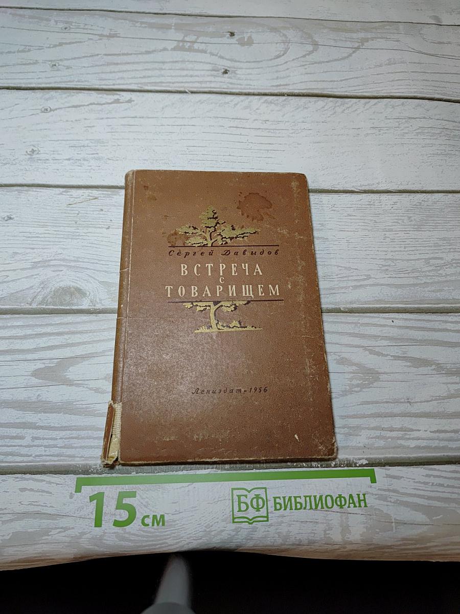 Встреча с товарищем