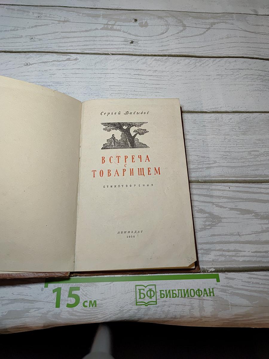 Встреча с товарищем