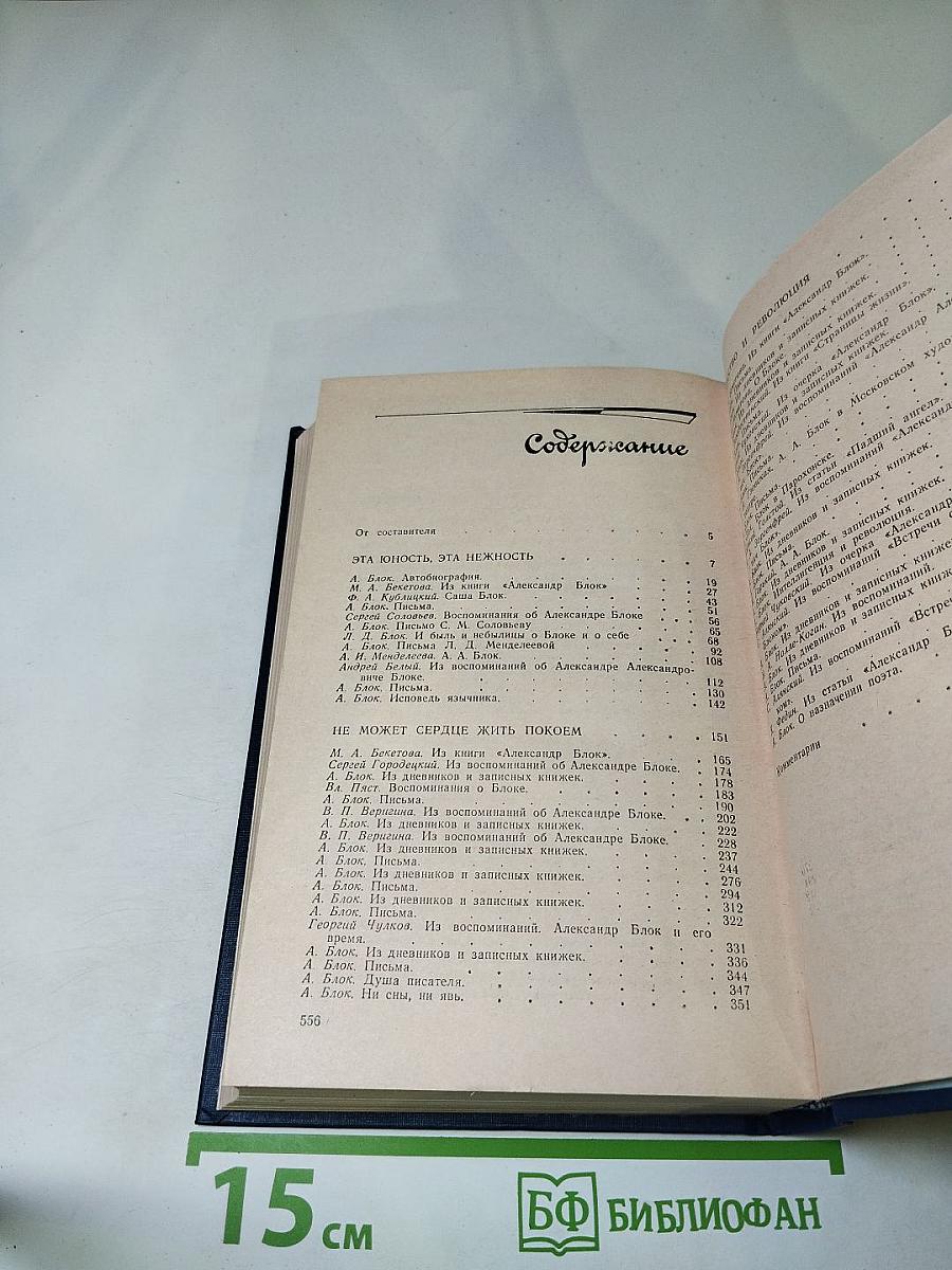 Я лучшей доли не искал... Судьба Александра Блока в письмах, дневниках, воспоминаниях