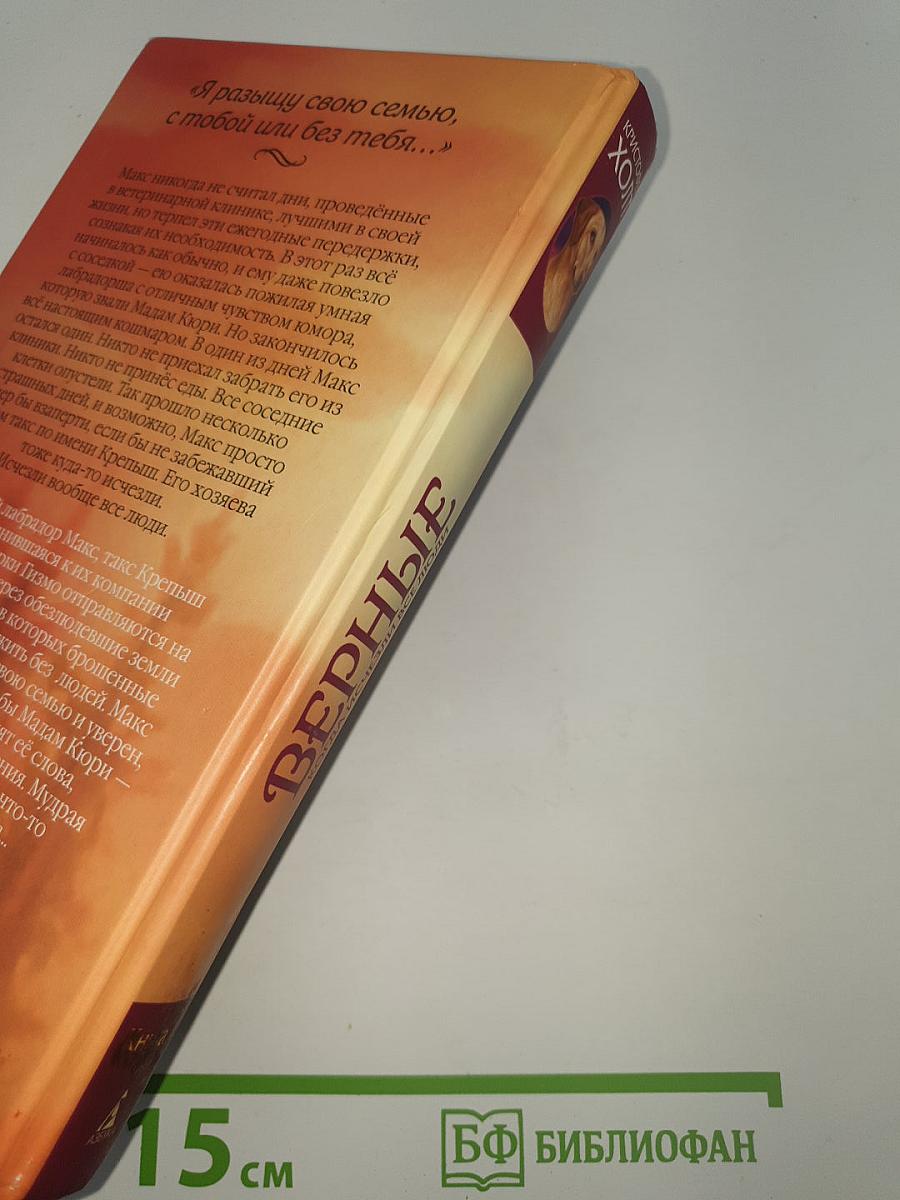 Верные. Книга 1: Когда исчезли все люди