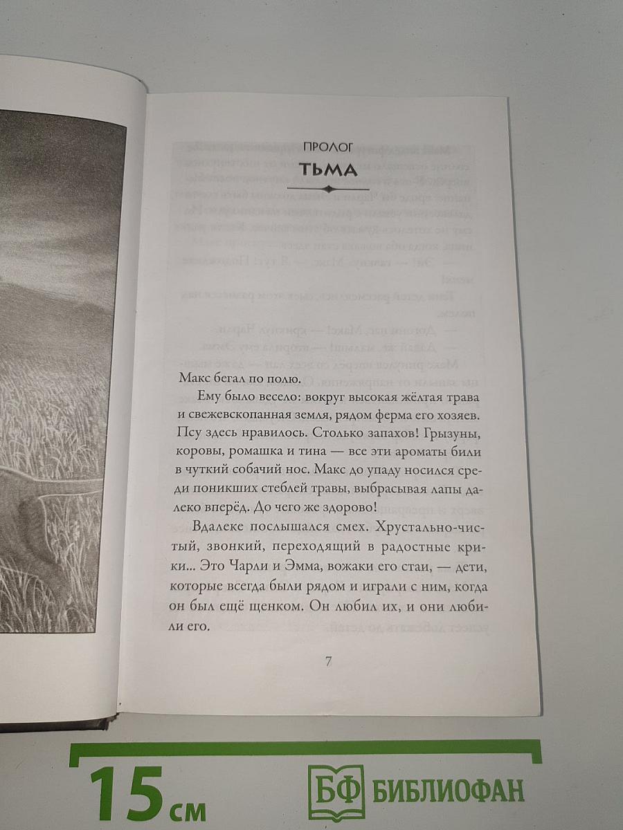 Верные. Книга 1: Когда исчезли все люди