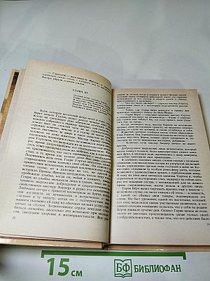 Шпион, или Повесть о нейтральной территории