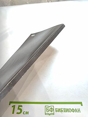 Своевременные мысли, или Пророки в своем отечестве