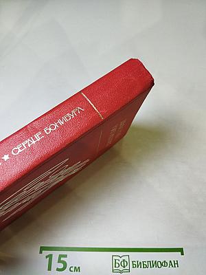 Сердце Бонивура