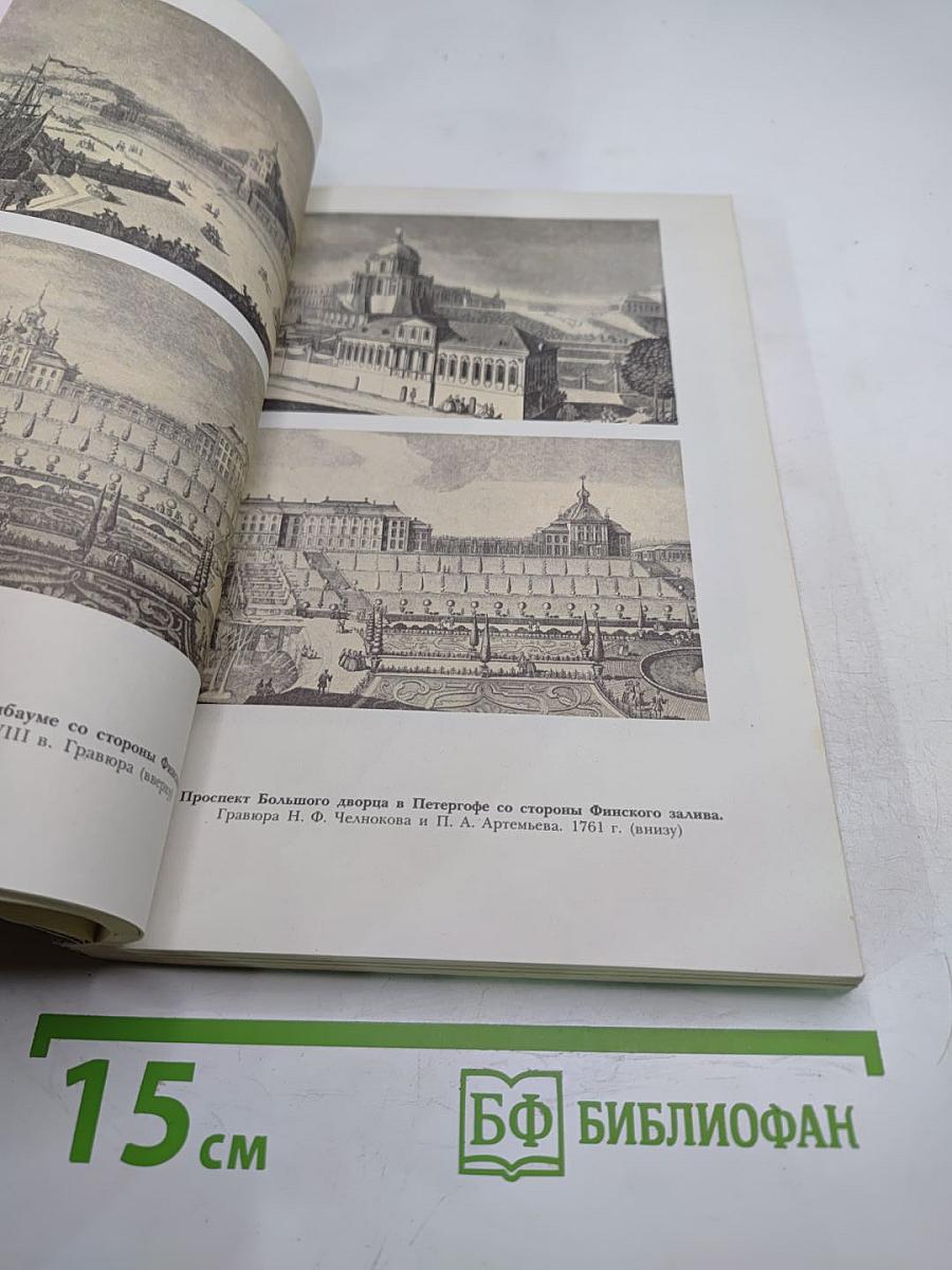 Россия в середине XVIII века. Борьба за наследие Петра