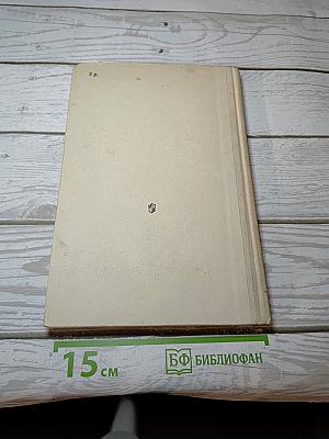 Война и мир. Том третий