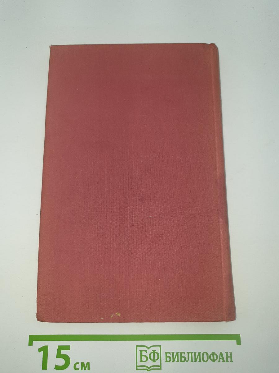 Флорентийский волшебник
