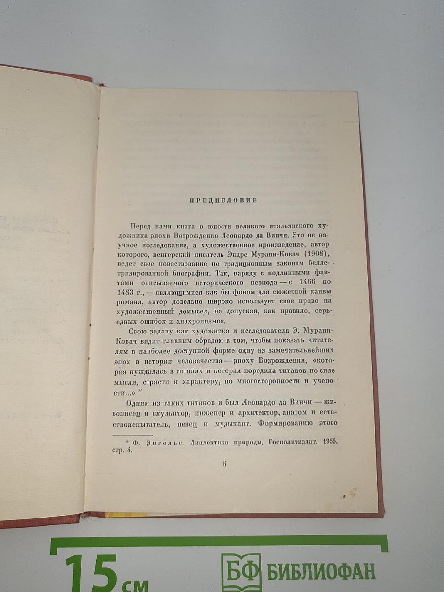 Флорентийский волшебник