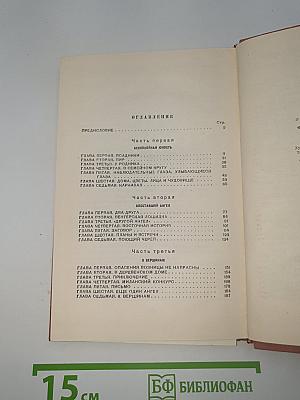 Флорентийский волшебник