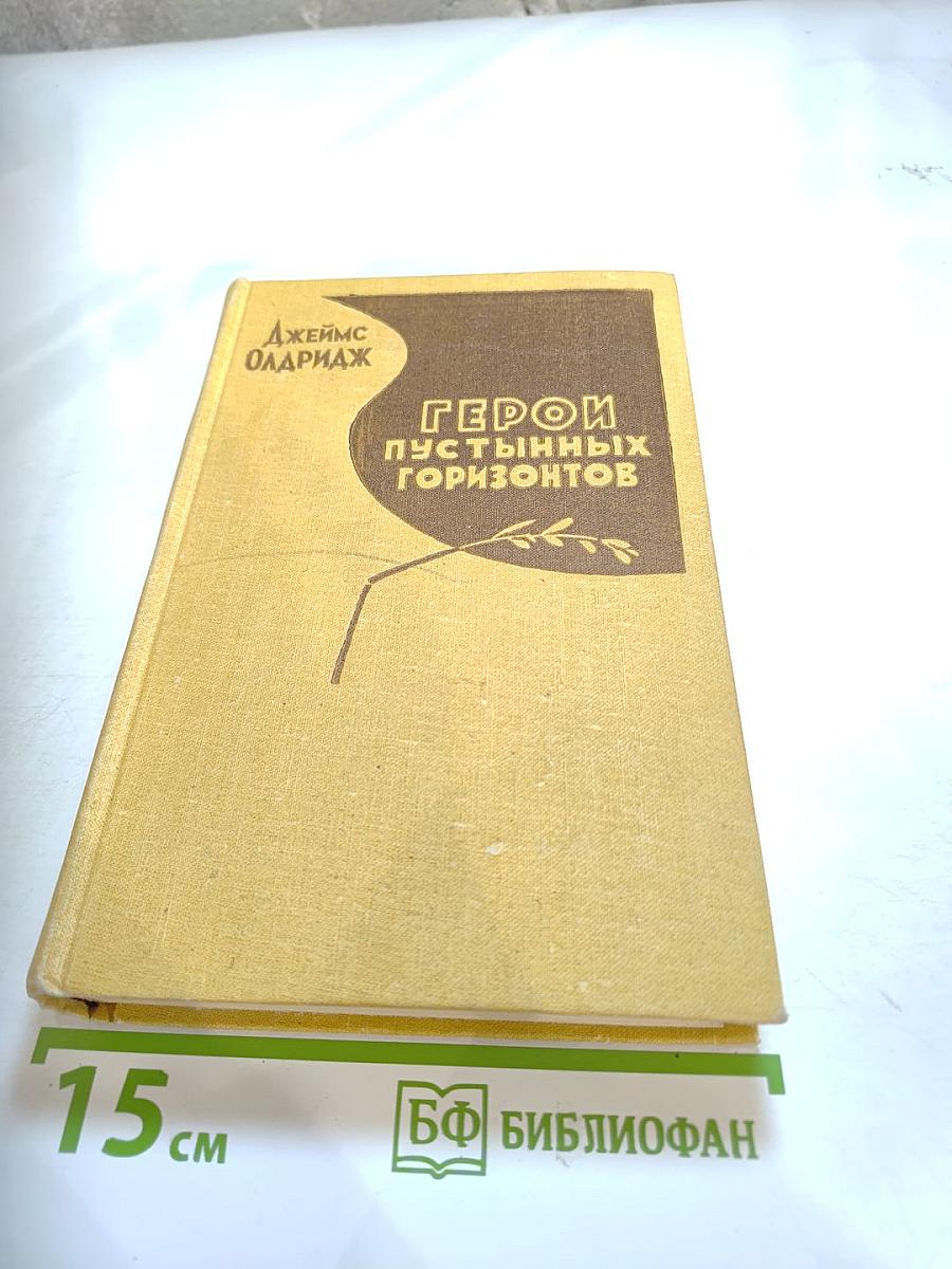 Герой пустынных горизонтов