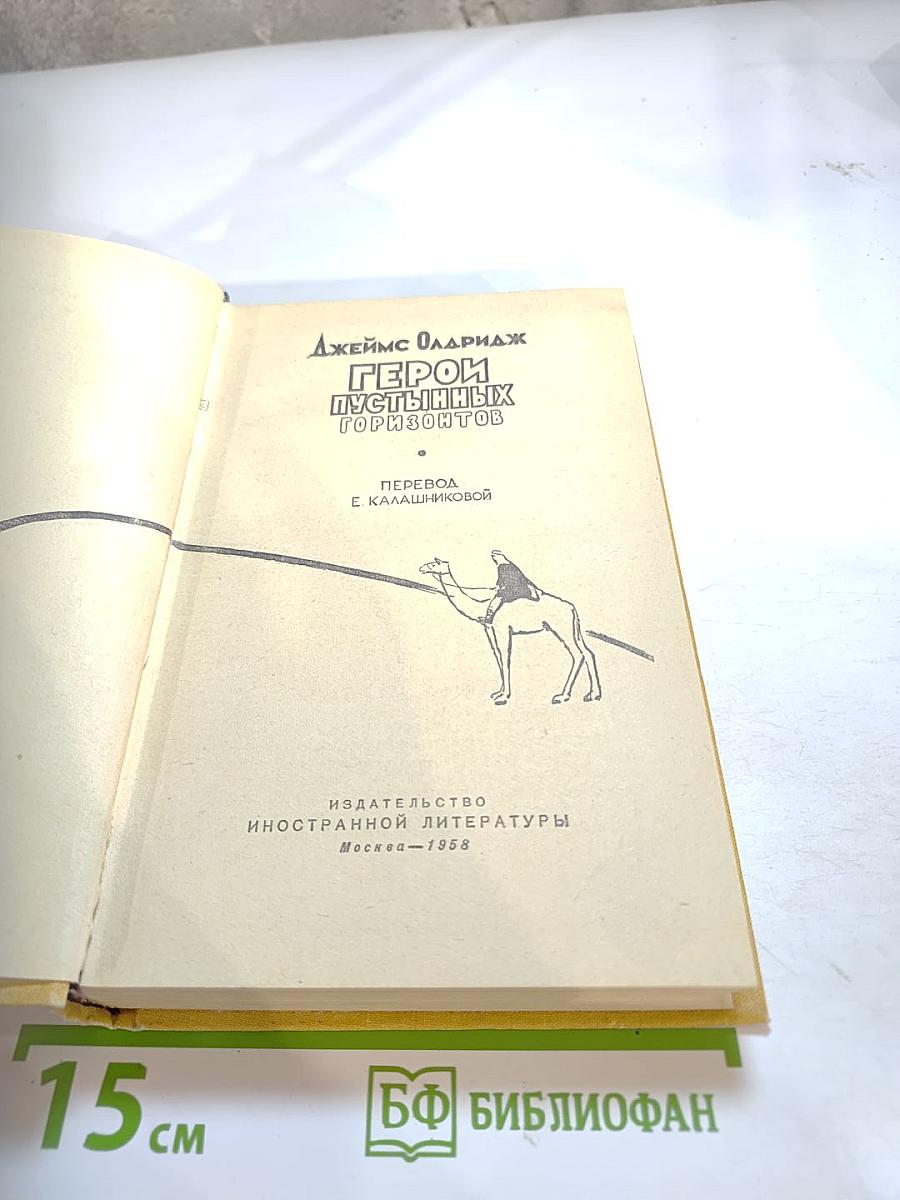 Герой пустынных горизонтов