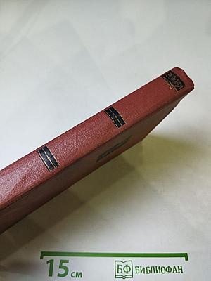 Чрево Парижа. Том 2