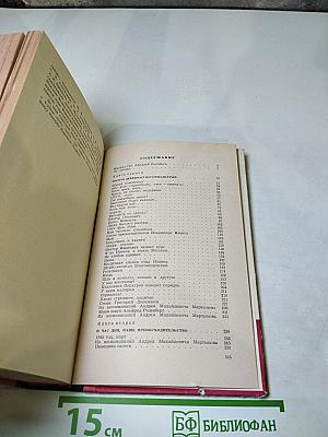 В час дня, ваше превосходительство