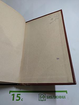 Молодость поэта