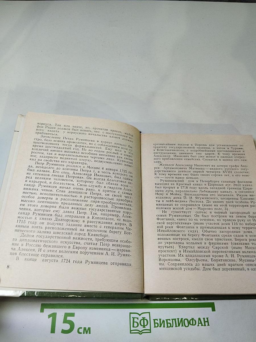 Румянцев в Петербурге