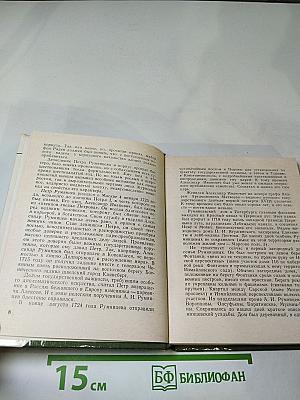 Румянцев в Петербурге