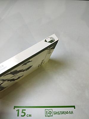 Румянцев в Петербурге