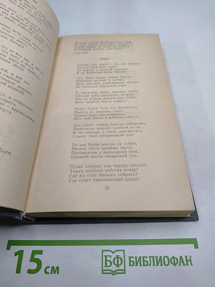 Костер над обрывом