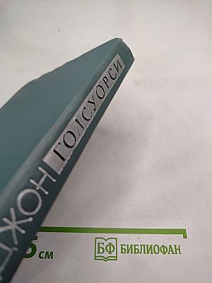 Собрание сочинений в шестнадцати томах. Том 13