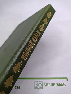 Молодой Верди. Рождение оперы