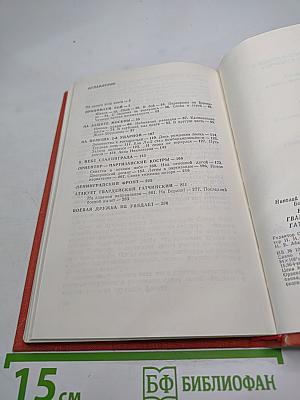 В небе – Гвардейский Гатчинский