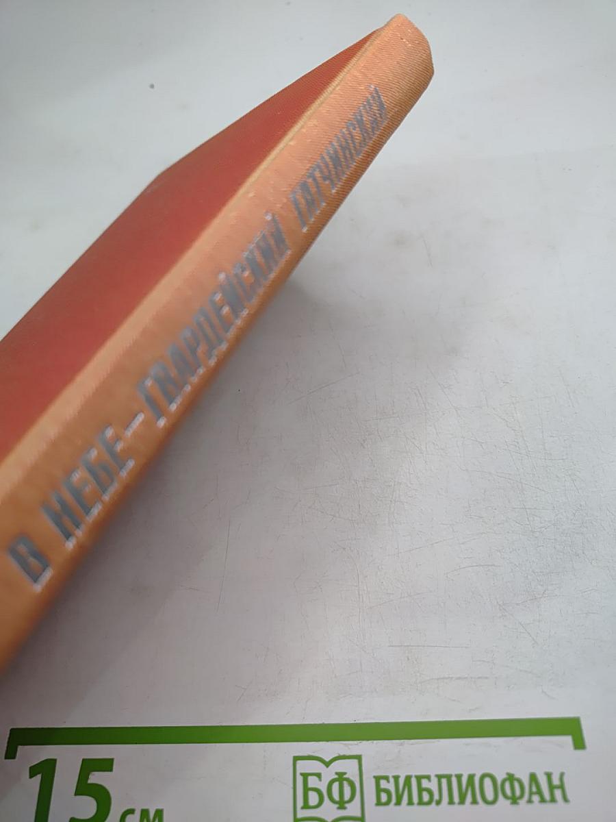 В небе – Гвардейский Гатчинский