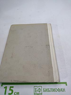 Чего не знает болельщик