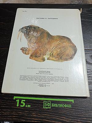 Моя первая зоология