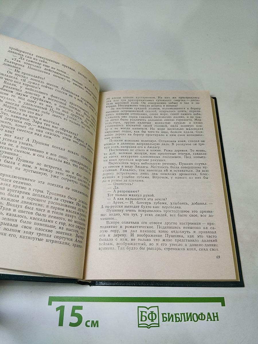 Пушкин на юге