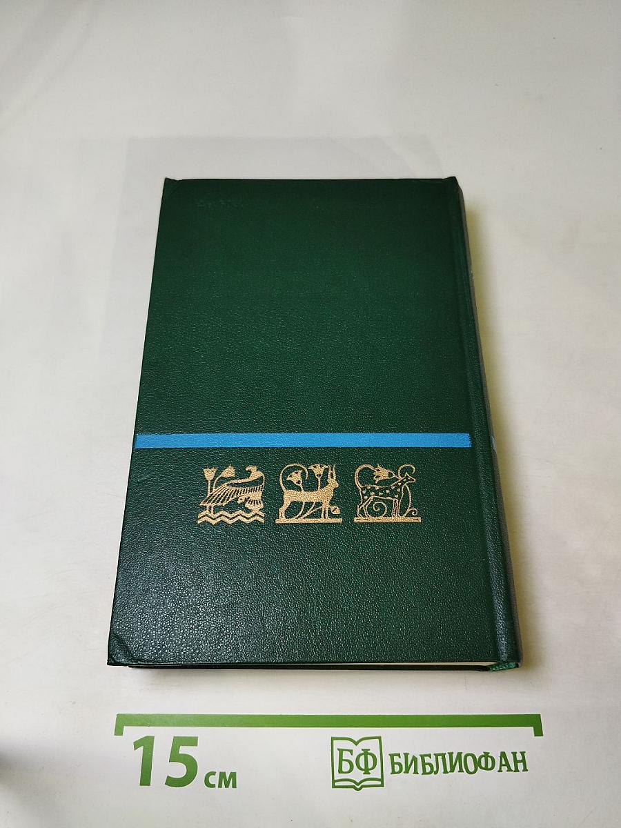 Круглая мозаика. Пирамидный дюйм. Мамелюки