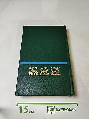 Круглая мозаика. Пирамидный дюйм. Мамелюки