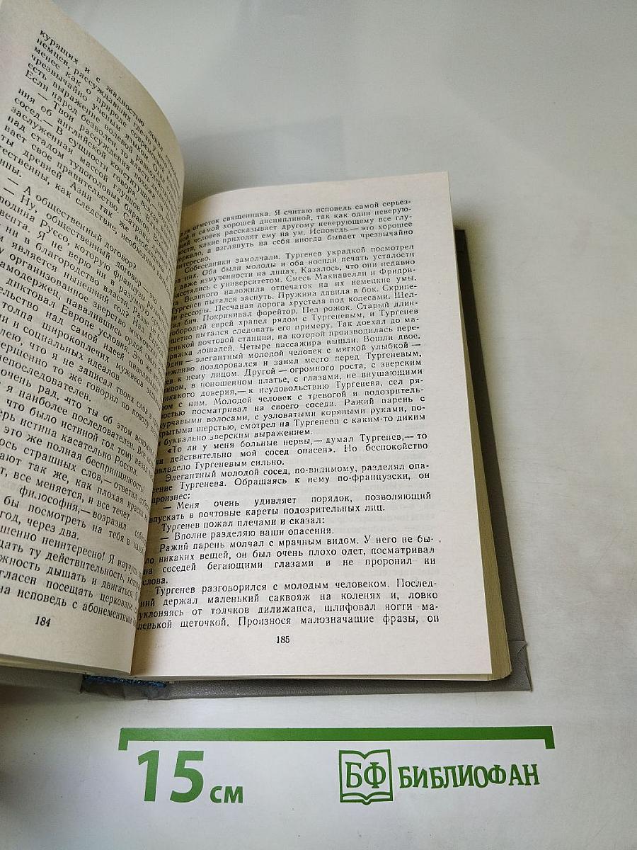Повесть о братьях Тургеневых. Осуждение Паганини