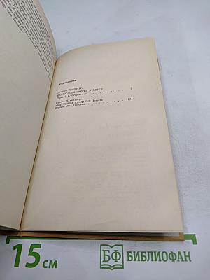 Благослови зверей и детей; Участница свадьбы