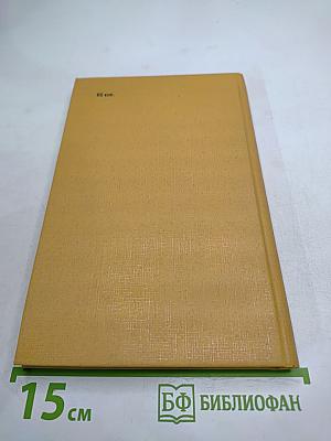 Благослови зверей и детей; Участница свадьбы