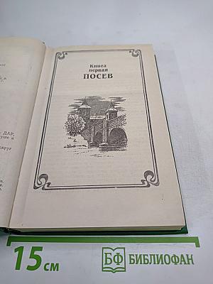 Лейденская красавица