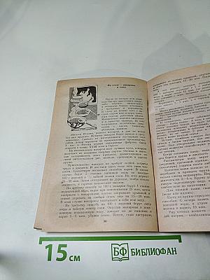 Твой дом, твоя семья