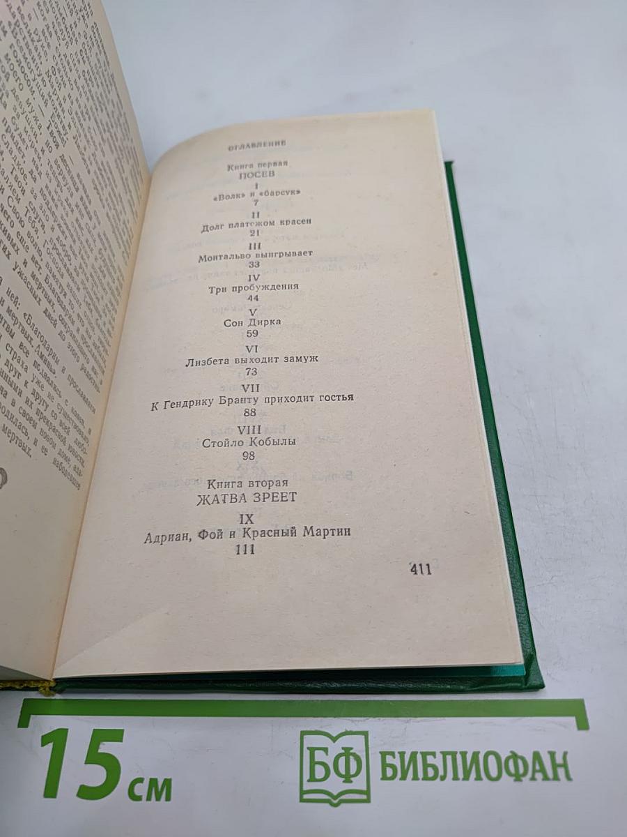 Лейденская красавица