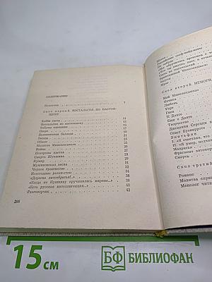 Витражных дел мастер