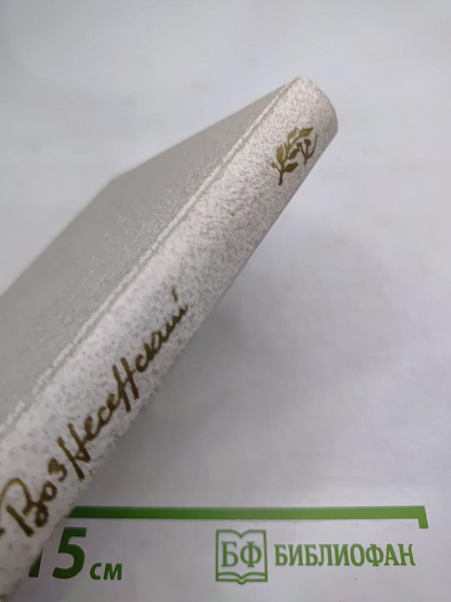 Витражных дел мастер