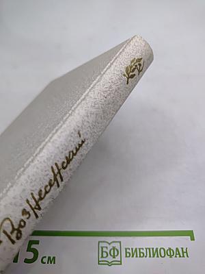 Витражных дел мастер