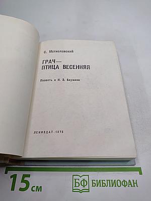 Грач - птица весенняя