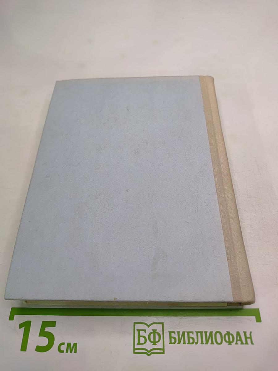 Грач - птица весенняя