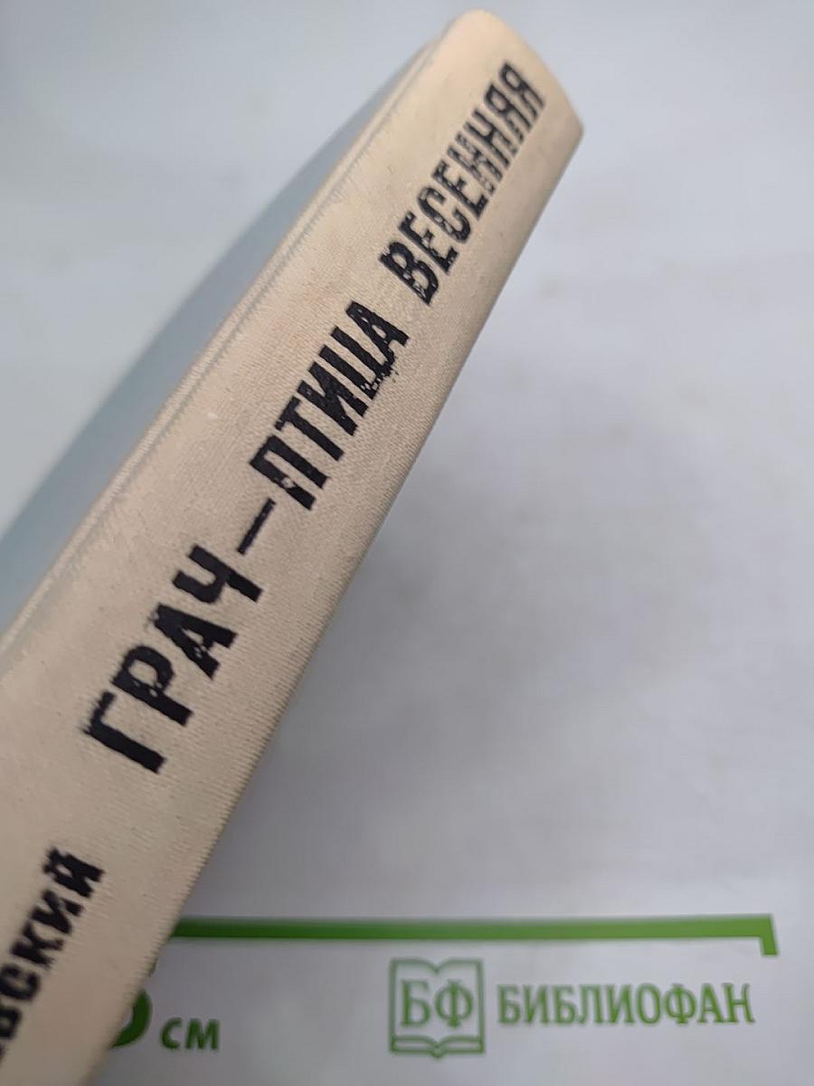 Грач - птица весенняя