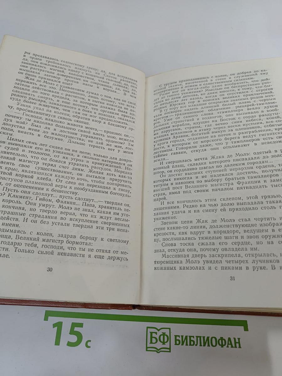 Железный король. Узница Шато-Гайара