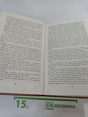 Железный король. Узница Шато-Гайара