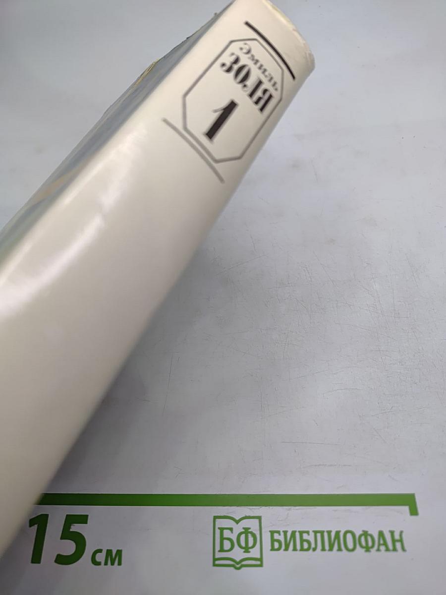 Собрание сочинений в двенадцати томах. Том 1. Тереза Ракен. Рассказы. Статьи