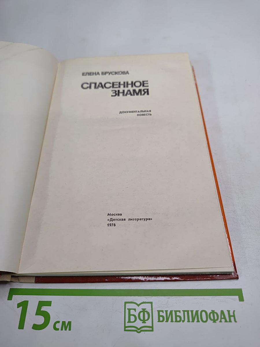 Спасенное знамя
