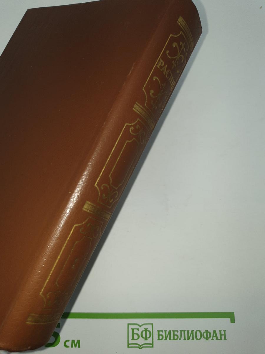 Сочинения. В 2-х т. Т. 1